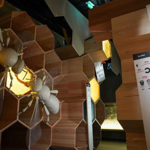 [2025] <br> La Ruche Géante